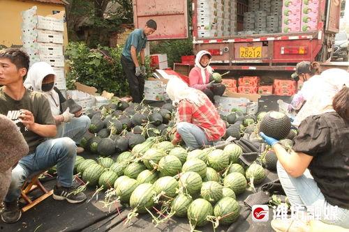 湖南娱乐吃瓜在一线,揭秘娱乐圈背后的故事