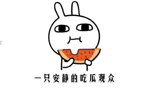 吃瓜是什么意思,网络热词背后的文化现象 第3张 吃瓜是什么意思,网络热词背后的文化现象 第3张