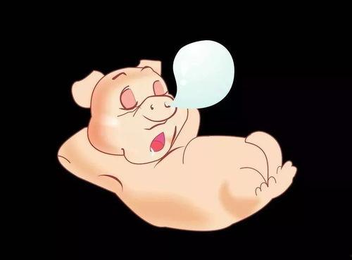 吃瓜猪娱乐  第1张