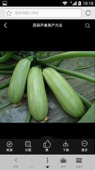 娱乐吃瓜资料来源于什么,揭秘娱乐圈吃瓜资料的来源与传播  第3张